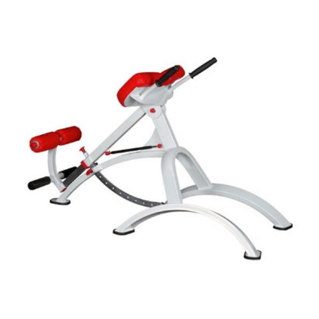 Гиперэкстензия Vasil Neo Gym - низкая цена, отзывы, гарантия ...