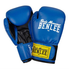 Боксерские перчатки BENLEE Rodney 194007B / 3618
