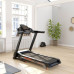 Беговая дорожка Kettler Alpha Run 400