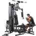 Фитнес станция Finnlo Autark 2600-100 (3828-100)