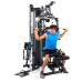 Фитнес станция Finnlo Autark 2200-100 (3944-100)