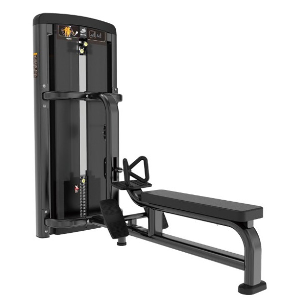 Гребна тяга сидячи Iron Impulse Low Row BH09