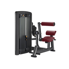 Розгинання спини Iron Impulse Back Extension RT.LS20