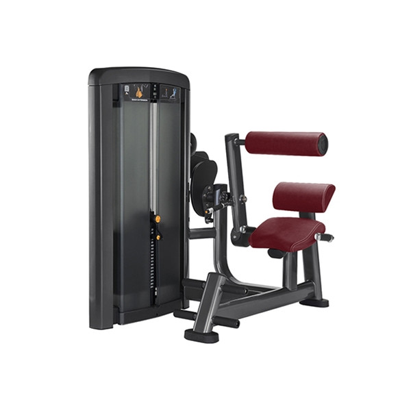 Розгинання спини Iron Impulse Back Extension RT.LS20