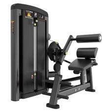 Тренажер розгинач спини Iron Impulse Back Extension BH018