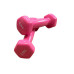 Гантель для фітнесу з вініловим покриттям Generation Fitness FF51D3A-0.5kg (рожевий)