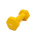 Гантель для фітнесу з вініловим покриттям Generation Fitness FF51D3A-1kg (жовтий)