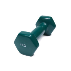 Гантель для фітнесу з вініловим покриттям Generation Fitness FF51D3A-1kg (темно-зелений) Гантель для фітнесу з вініловим покриттям Generation Fitness FF51D3A-1kg (темно-зелений)