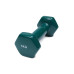 Гантель для фітнесу з вініловим покриттям Generation Fitness FF51D3A-1kg (темно-зелений)