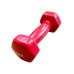 Гантель для фітнесу з вініловим покриттям Generation Fitness FF51D3A-2kg (червоний)