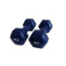 Гантель для фітнесу з вініловим покриттям Generation Fitness FF51D3A-3kg (синій)