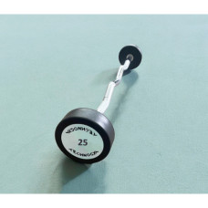 Штанга вигнута цілісна 25 кг Technogym TGW-25kg